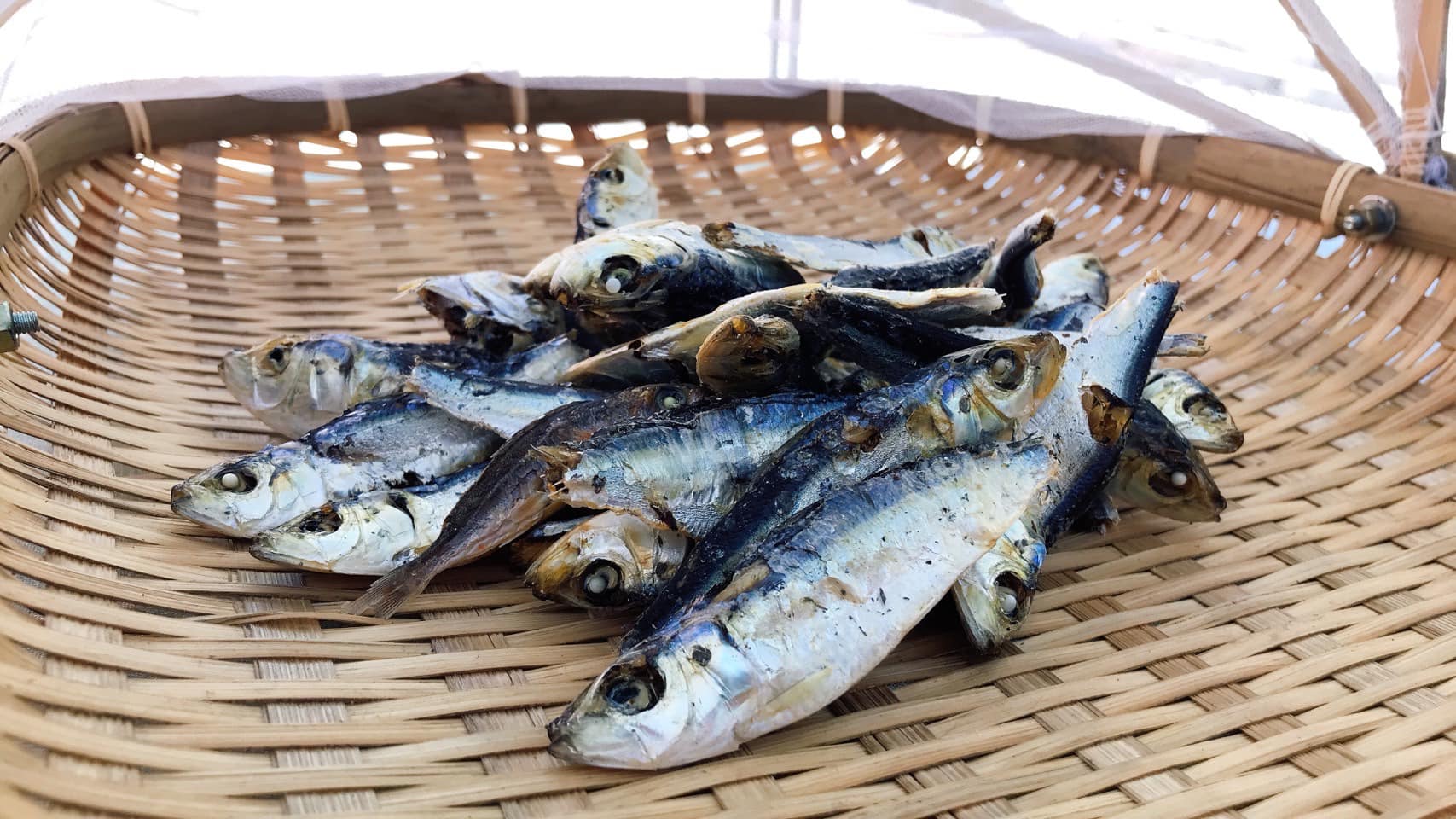 我家住海邊特企 線上講座 再說都是多魚的 跟著澎湖人吃就對了 島內散步 讓台灣這塊土地更好的永續旅行領導品牌